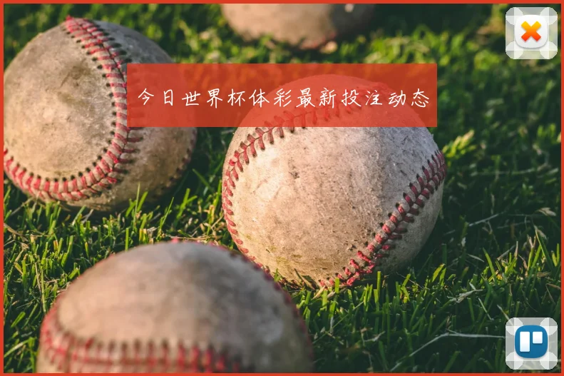 今日世界杯体彩最新投注动态