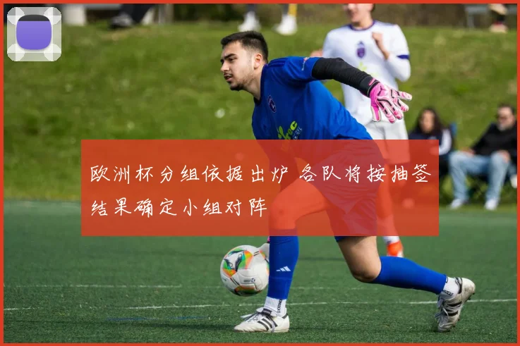 欧洲杯分组依据出炉 各队将按抽签结果确定小组对阵