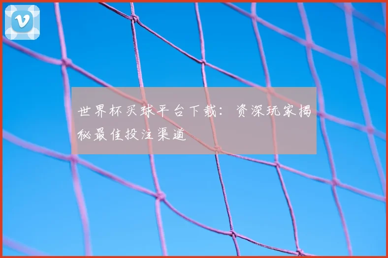 世界杯买球平台下载：资深玩家揭秘最佳投注渠道