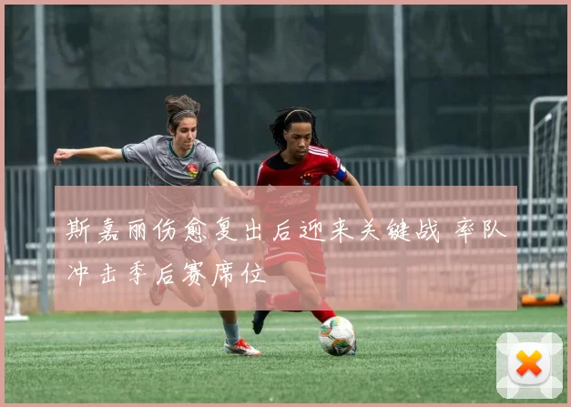 斯嘉丽伤愈复出后迎来关键战 率队冲击季后赛席位