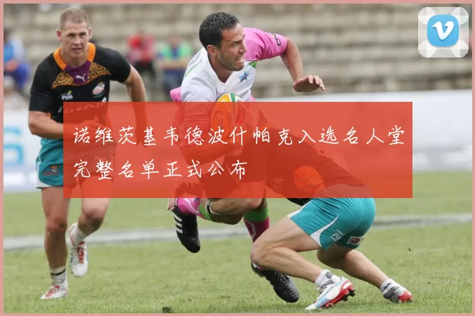 诺维茨基韦德波什帕克入选名人堂完整名单正式公布