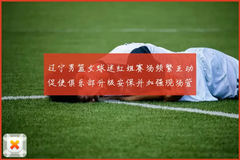 辽宁男篮女球迷红姐赛场频繁互动促使俱乐部升级安保并加强现场管理