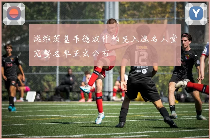 诺维茨基韦德波什帕克入选名人堂完整名单正式公布